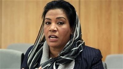 النائبة نشوى الديب: «زواج الرجل على مراته جريمة».. فيديو