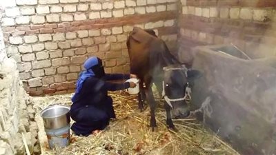 ست بـ 100 راجل.. أم أسامة: «ربيت وعلمت ولادي الأربعة بعد وفاة زوجي»