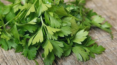 أبرزها علاج السرطان والكبد.. تعرفي على فوائد البقدونس المذهلة 