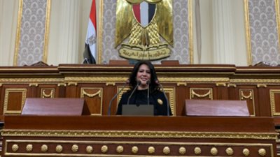  برلمانية: سنتصدى لتشريعات الطلاق والنفقة والحضانة