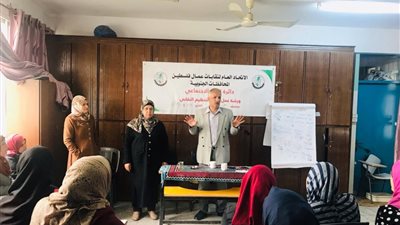 هويدا السباعي: المرأة حصلت على حقوق لا مثيل لها في عهد السيسي