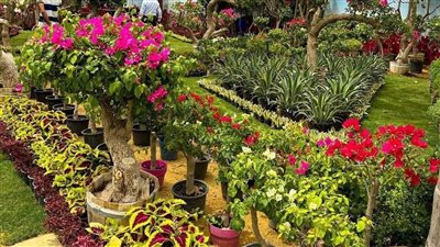 معرض زهور الربيع يفتح أبوابه أمام الزائرين.. إليك الموعد ووسيلة زيارته