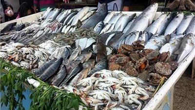 إليك أسعار السمك في الأسواق اليوم الأحد 26 مايو 2024