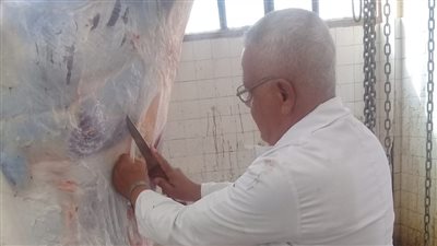 نقيب البيطريين بجنوب سيناء يستعرض لـ