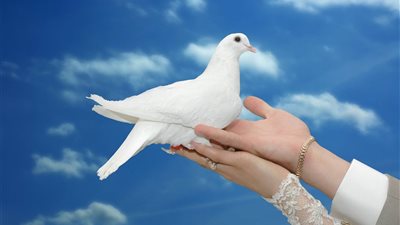 تفسير رؤية الحمام فى المنام لابن سيرين 