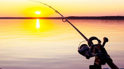 تفسير حلم  الصيد في المنام لابن سيرين