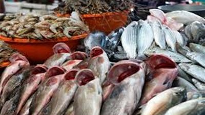 إليك أسعار الأسماك في سوق العبور اليوم الأربعاء 19 يونيو