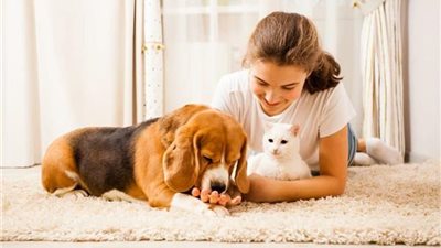 5 أطعمة تساعد في الحفاظ على ترطيب حيوانك الأليف