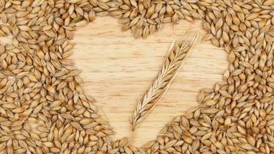 تفسير رؤية الشعير في المنام للعزباء والمتزوجة