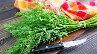 تفسير رؤية الشبت في المنام.. وارتباطه بتحقيق الأمنيات