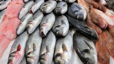 لربات البيوت.. أسعار السمك اليوم الخميس 11 يوليو 2024