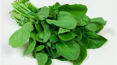 تفسير رؤية الجرجير في المنام وإرتباطة بالأزمات والمشاكل