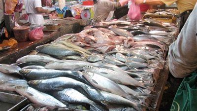 لربات البيوت.. أسعار السمك والجمبري اليوم الثلاثاء 30 يوليو 2024