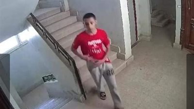 «سيدة الأسانسير».. طالب يهاجم جارته داخل مسكنها لسرقتها والكاميرات تكشفه (فيديو)