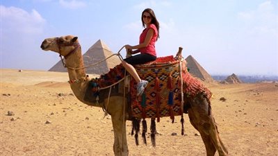  تفسير حلم ركوب الجمل في المنام للعزباء والمتزوجة