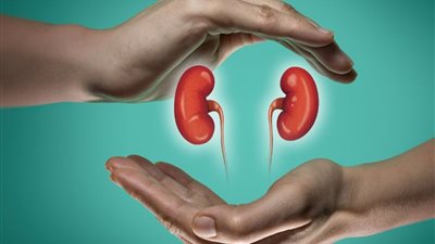 البنجر والجزر الأبرز.. 4 مشروبات تساعد في الحفاظ على صحة الكلى