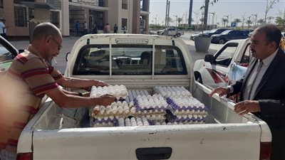 كرتونة البيض بـ120 جنيهًا.. إقبال كبير على منافذ الزراعة في العاصمة الإدارية