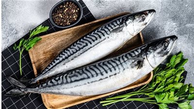 لربات البيوت.. أسعار السمك والجمبري اليوم الأحد 15 سبتمبر 2024