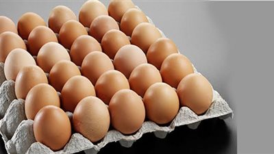 ارتفاع جديد في أسعار البيض بزيادة 3 جنيهات عن السعر الأصلي 