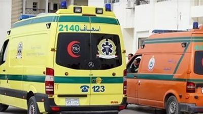 عن المرض الغامض في أسوان.. وزير الصحة اعلان نتائج التقرير النهائي خلال 48 ساعة