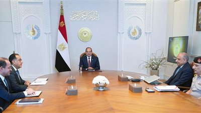 الرئيس السيسي يوجه الحكومة بتحسين خدمات الكهرباء في المحافظات