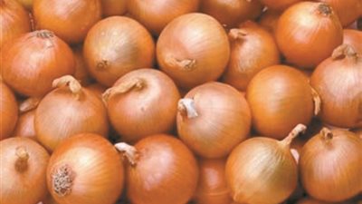 وزير الزراعة: فتح السوق الكوستاريكي أمام صادرات مصر من البصل الطازج