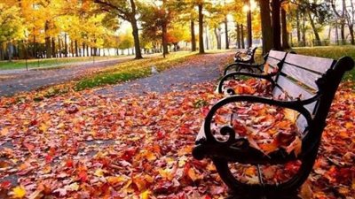 حالة الطقس المتوقعة غدًا الأربعاء 25-9-2024 