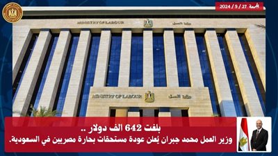 تبلغ 31 مليون جنيها.. وزير العمل: عودة مستحقات بحارة مصريين في السعودية