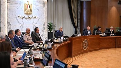 مجلس الوزراء يوافق على 2200 جنيه سعراً استرشادياً لأردب القمح لموسم 2024/ 2025