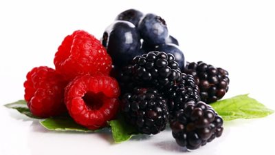 تفسير رؤية التوت في المنام وعلاقته بالمال الوفير