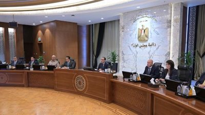 8 قرارات لمجلس الوزراء اليوم.. تعرف عليهم