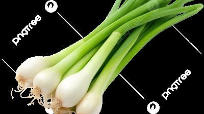 3 فوائد تحدث في جسمك لن تصدقيها عند تناولك البصل الأخضر يوميًا 