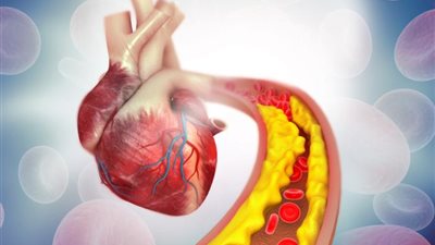 لصحة القلب والكولسترول اليك هذه المشروبات الطبيعية 