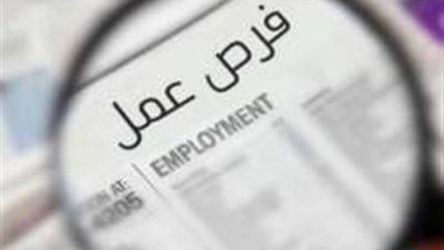 ما هي تفاصيل وشروط الوظائف الخالية بوزارة العمل؟ 