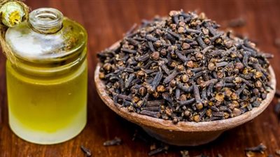 فوائد رائعة للجسم عند استخدام زيت الزيتون والقرنفل 