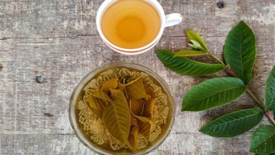 أوراق الجوافة قد تفعل العجائب لصحتك.. 7 فوائد لثمار الفاكهة الشهيرة 