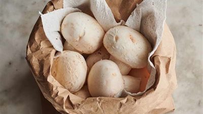 لأطول فترة ممكنة.. 5 طرق لتخزين المشروم بسهولة