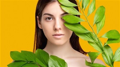 لمنع تساقط شعرك وزيادة كثافته.. 6 فوائد تحصلي عليها من ورق السدر 