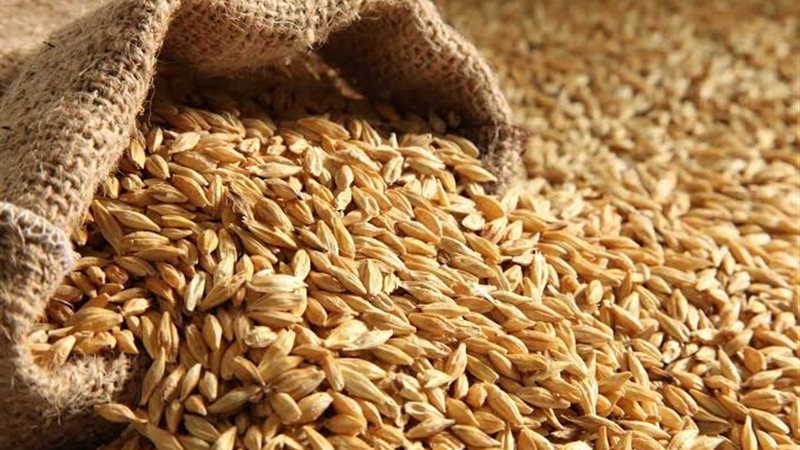 سعر طن الأرز الشعير