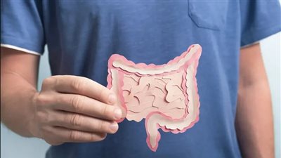 مكافحة البكتيريا المعوية.. لقاحات واعدة ضد السالمونيلا والنوروفيروس