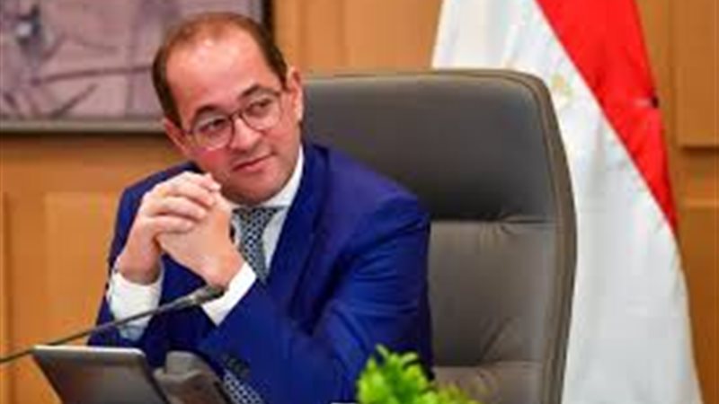 وزير المالية