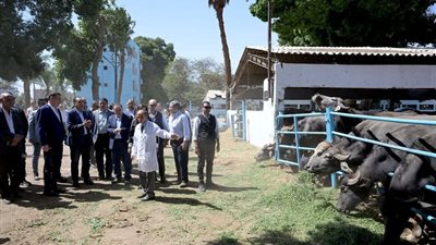 خلال جولته بأسيوط.. رئيس الوزراء يتفقد محطة الثروة الحيوانية بقرية الحمام بمركز أبنوب