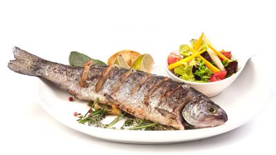 تفسير رؤية السمك في المنام وعلاقته بالثروة والوفرة المالية