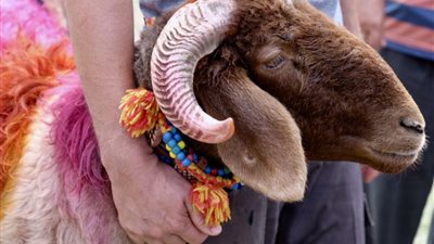 موعد وقفة عرفات وعيد الأضحى المبارك 2025 فلكيًا وأول أيام العيد الكبير