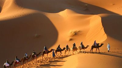  حظ سعيد أم مشاكل وأزمات..   تفسير حلم الصحراء في المنام