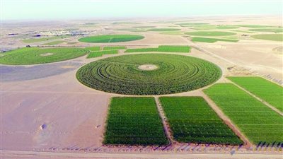 اتساع رقعة القطاع الزراعي وتوسع أنماط الزراعة الذكية في سلطنة عمان