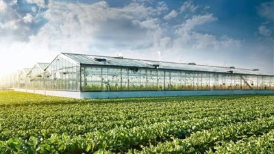 المدن الزراعية والزراعة الكهروضوئية.. مشروعات عمانية تعزز الاستدامة