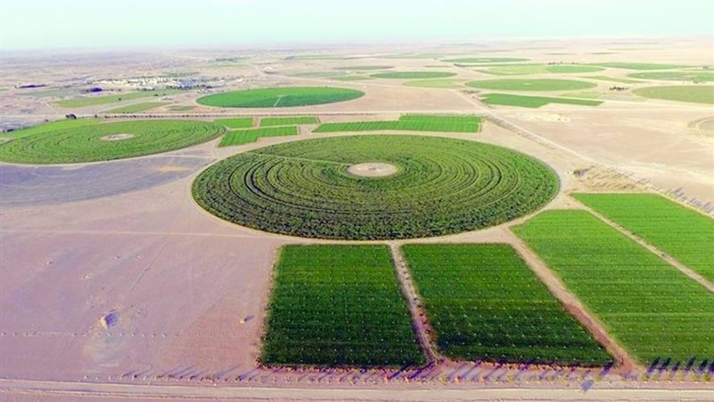 الرقعة الزراعية في
