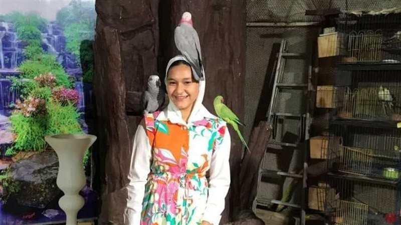 هير نيوز
