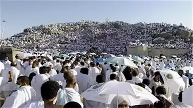 هير نيوز